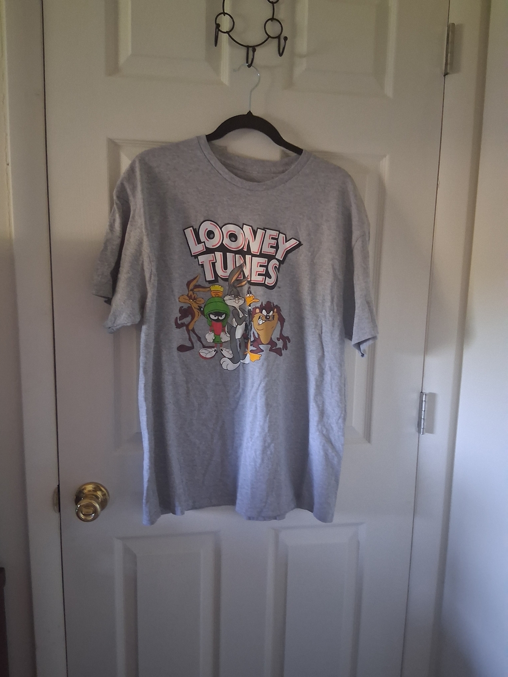 Looney Tunes Grey Graphic Tee with Classic Character Group